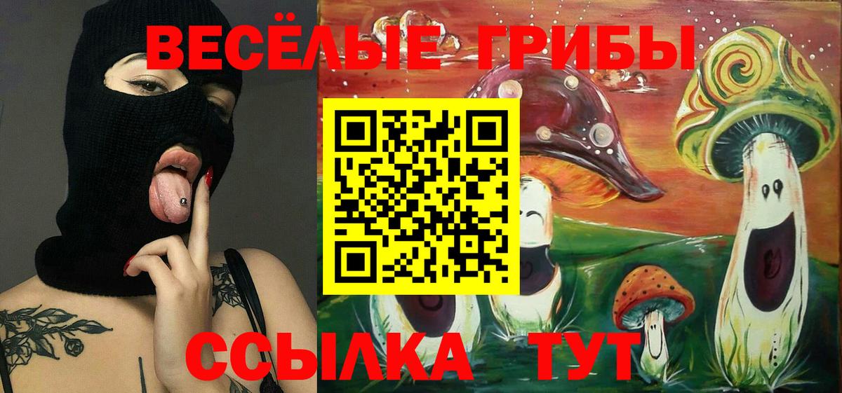 Набережные Челны  Псилоцибиновые грибы Magic Shrooms  Вход с VPN 